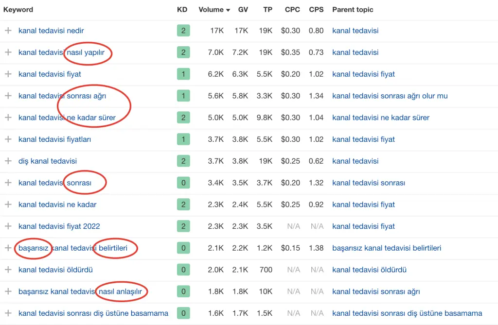 Ahrefs'de Long Tail Sorgular