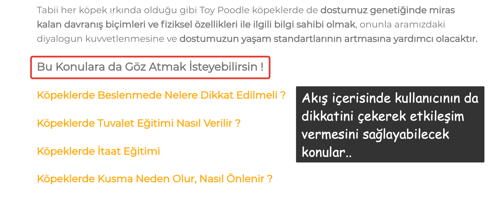 Crawl Depth Internal Link Geliştirmeleri