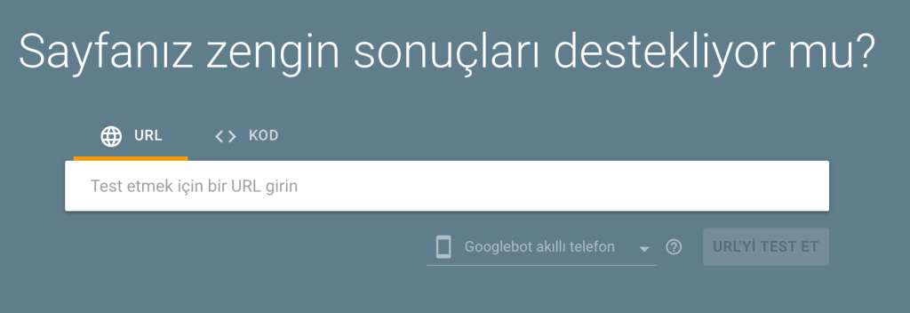 Google Zengin Sonuçlar Testi