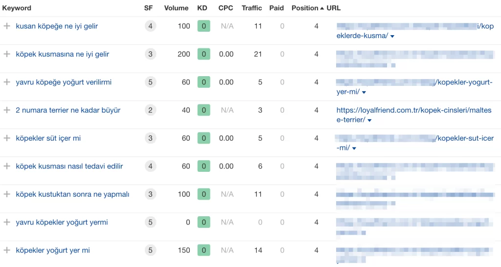 Long Tail Keywords Örnekleri