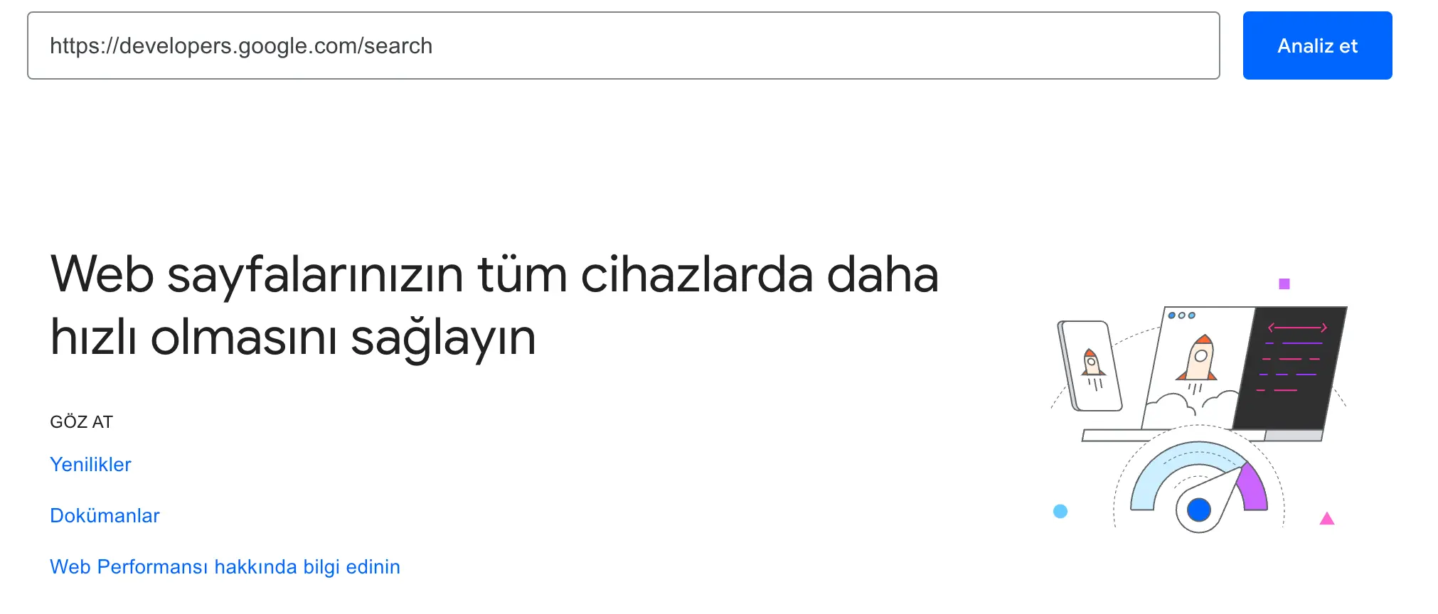PageSpeed Insights