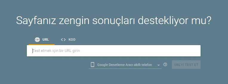 Rich Result Testing Tool