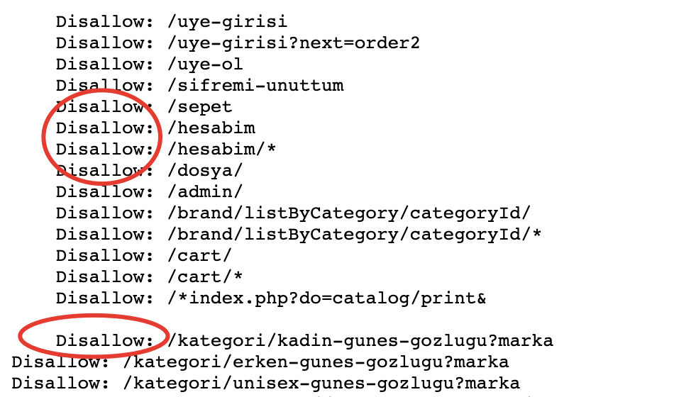 Robots.txt ve Crawl Optimizasyonu