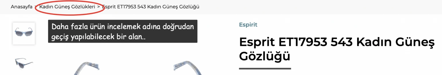 Web Tasarımı Breadcrumb