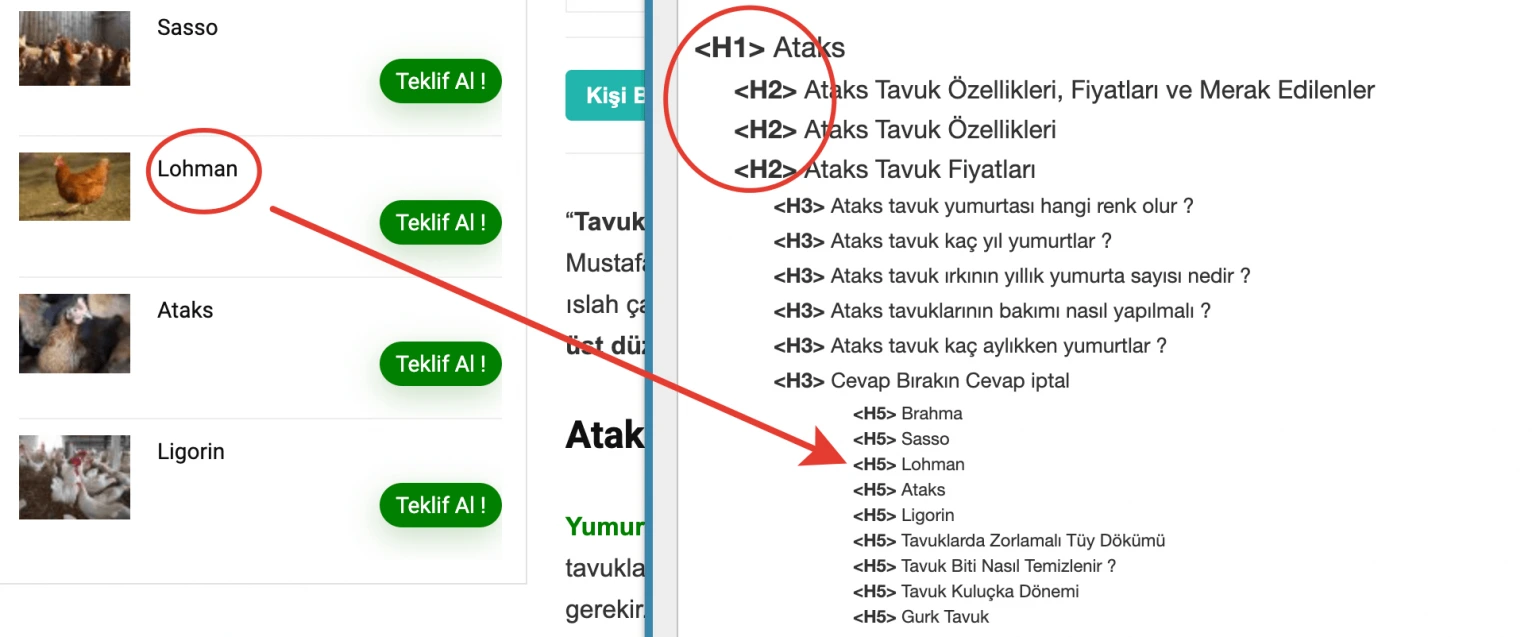 Web Tasarım Heading Hiyerarşisi